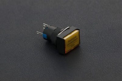 Pulsante lampada autobloccante – FIT0455-Y