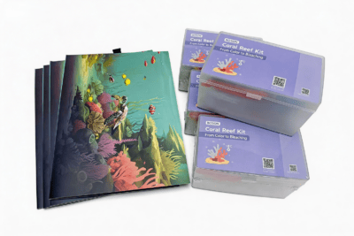 BOSON: Kit barriera corallina (set 4 in 1) – EDU0242 | DFRobot