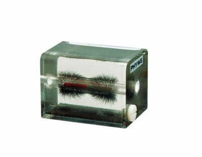 Tracciatore di campo magnetico, 3 dimensioni.