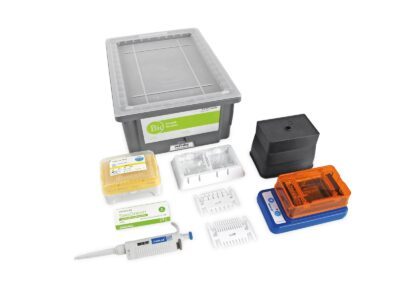Set studenti Genetica, Biologia avanzata TESS