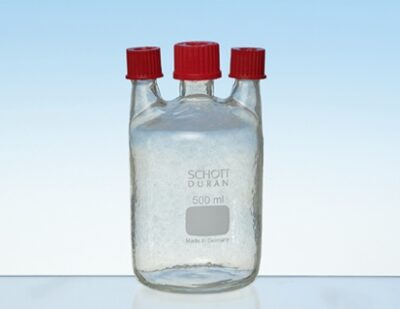 Bottiglia sicura, 500 ml, 2 x Gl 18/8, 1 x 25/12