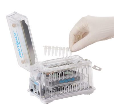 Set PCR (reazione a catena della polimerasi)