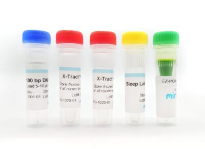 Laboratorio del sonno: Allodola o Gufo: kit per esperimenti PCR utilizzando il tuo DNA