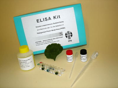 Kit ELISA