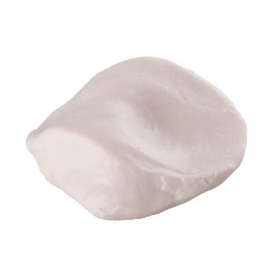 Patella