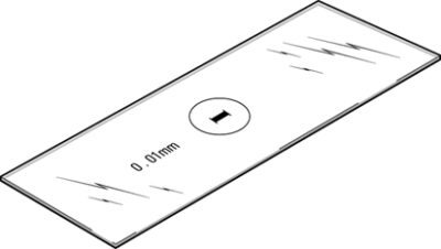 PHYWE Micrometro per oggetti su lastra di vetro, 1 mm in 100 parti