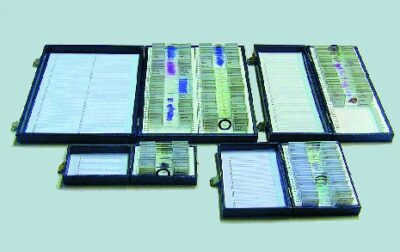 Scatola standard per 12 msl