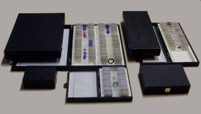 Scatola standard per 25 msl