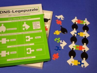 Puzzle del DNA