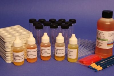 Prova dell’evoluzione biochimica, kit sperimentale
