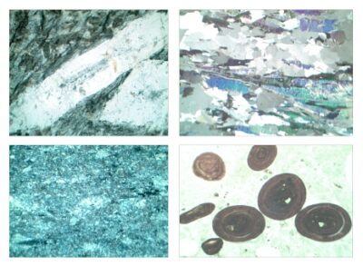 Rocce e minerali, macinati sottili, rocce sedimentarie, set n. V, 22 vetrini microscopici misura 30×45 mm, l