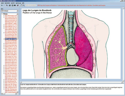 Il sistema respiratorio e circolatorio umano e il cuore, CD-ROM