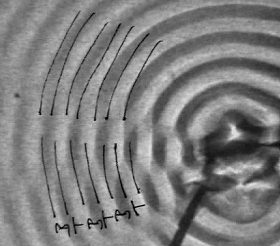 Influenza della differenza di fase sulle forme di interferenza di due eccitatori