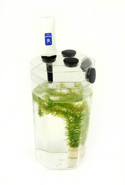 Fotosintesi di piante acquatiche con Cobra SMARTsense