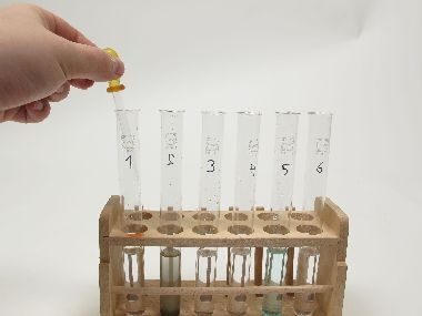 Formazione di sali mediante reazione di precipitazione – determinazione qualitativa di cloruri e solfati