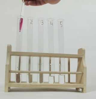 L’effetto di acidi e basi su indicatori naturali e sintetici