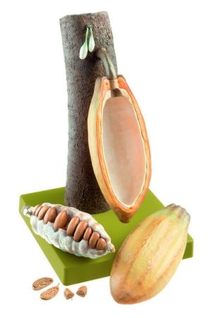 Frutto di cacao