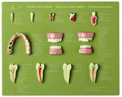 Caso dei denti “Mantieni i tuoi denti sani”