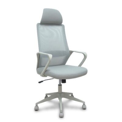 PRO534