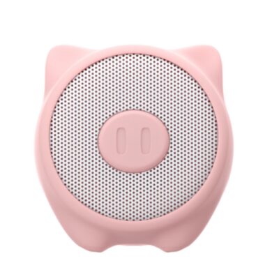 3W Wireless Speaker Summer