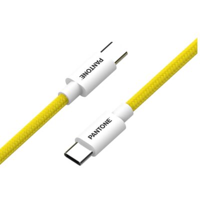 PANTONE – Cavo USB-C to USB-C potenza massima 60 Watt, connettore reversibile, lunghezza cavo 1.5 mt