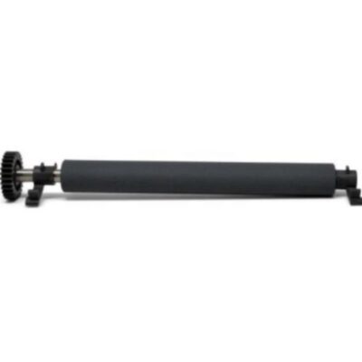 Kit, Platen Roller with bearings, ZD220, ZD230, ZD888 Direct Thermal