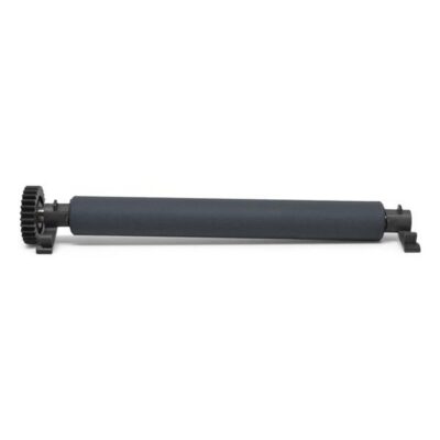 Kit, Platen Roller 300 dpi, ZD421T