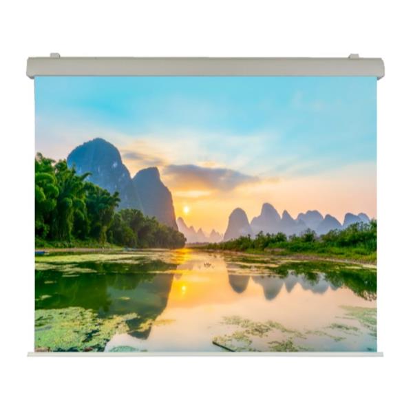 Elettrico 240×240 Professional