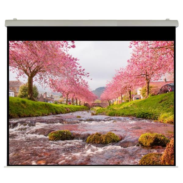 Elettrico 500×393 HT Rubin