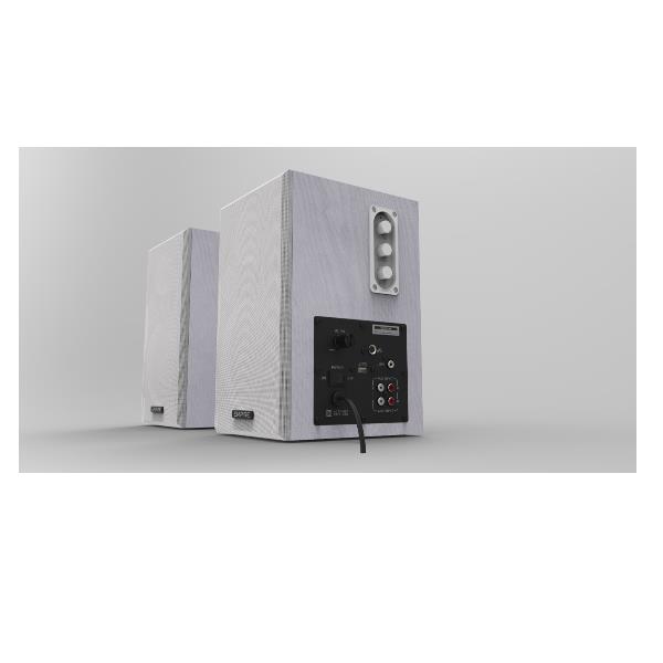 WB-100 MIC