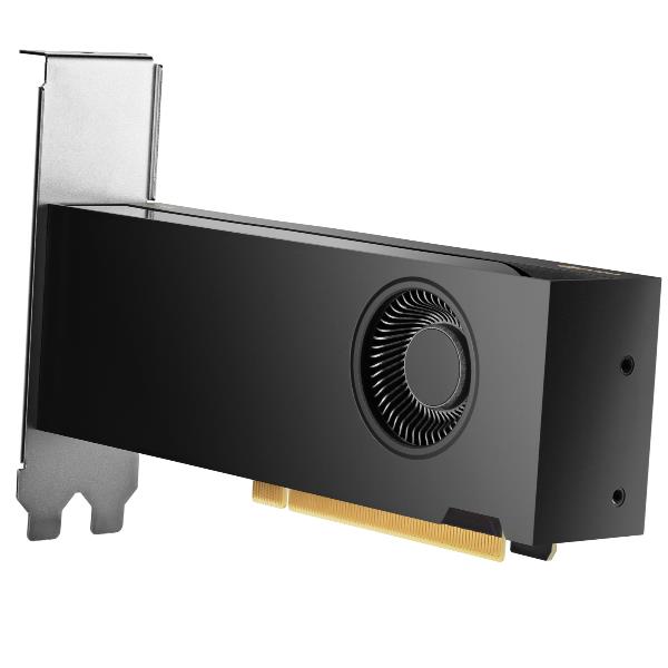 HP NVIDIA RTX PRO 2000 Blackwell da 16 GB