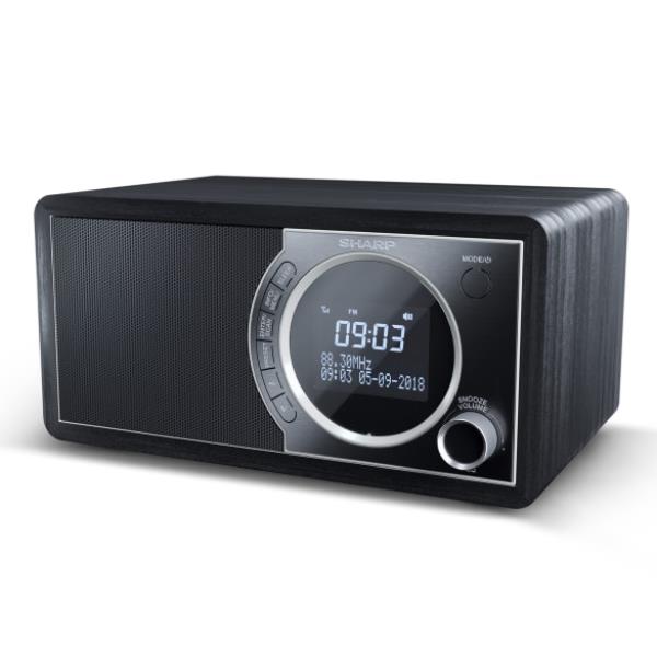 Radio digitale DR-450