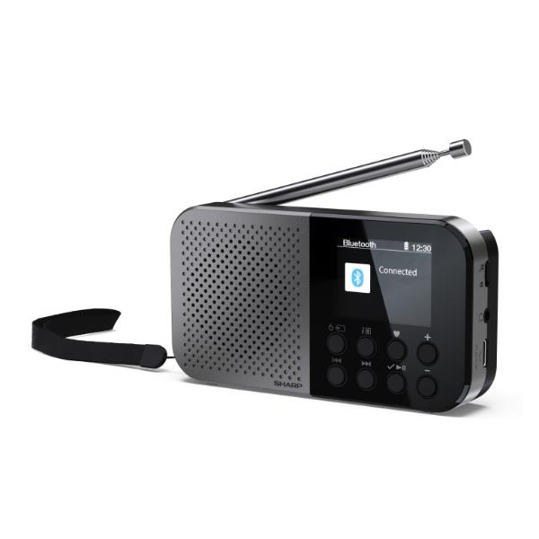 Radio Digitale OSAKA DR-P520