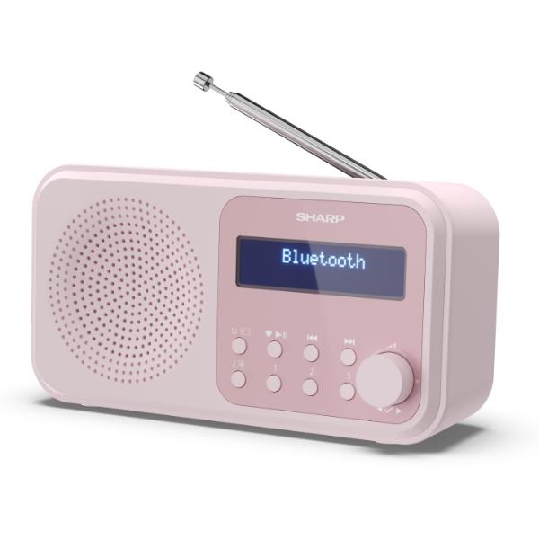 Radio Portatile Digitale Tokio