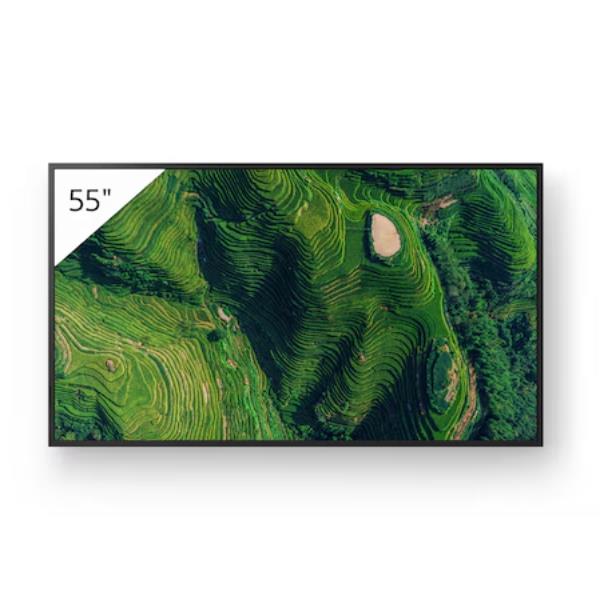 Display professionale 4K HDR da 55”