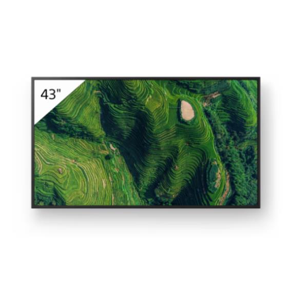 Display professionale 4K HDR da 43″