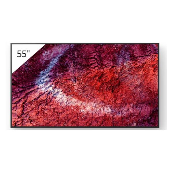 Display professionale 4K HDR da 55″