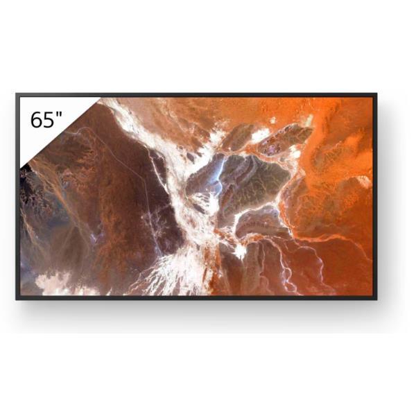 Display professionale 4K HDR da 65”