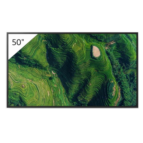Display professionale 4K HDR da 50”