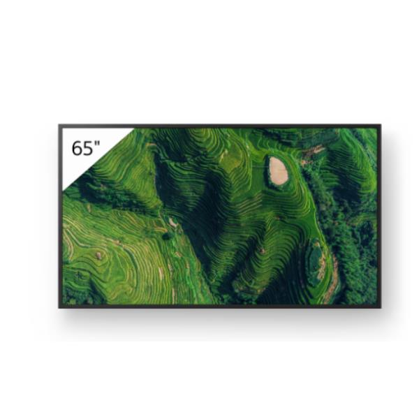 Display professionale 4K HDR da 65″