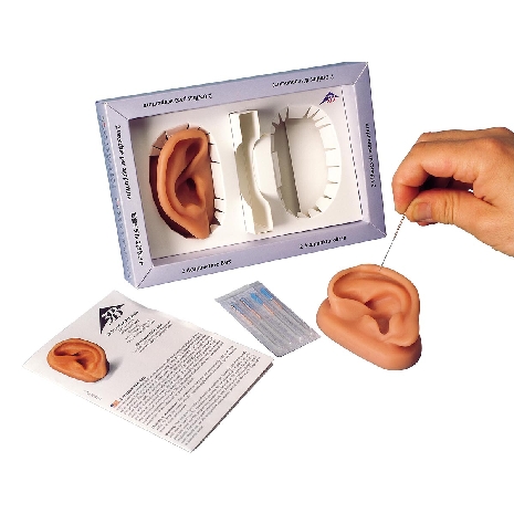 3B Ear set, one left and right ear