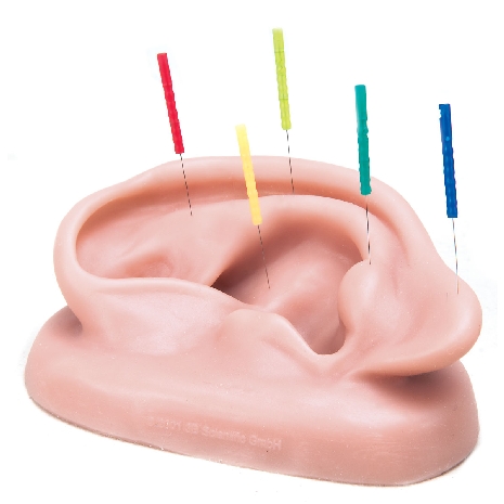 3B Acupuncture Ear, left