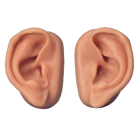 Acupuncture Ears, Set for 10 Students