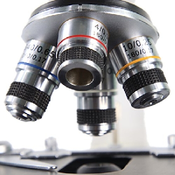 Microscopic magnification