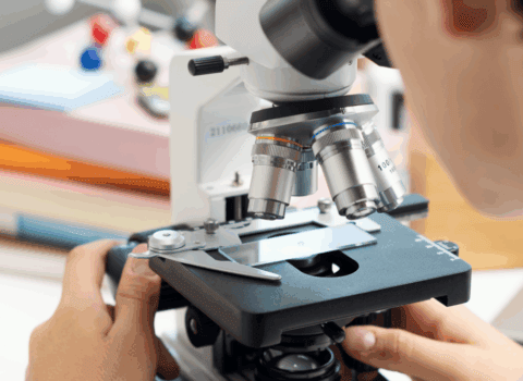 liceo scientifico