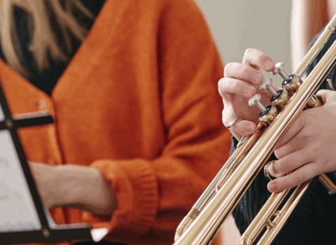 sezione musicale
