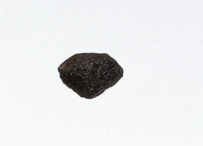06300-00-1627221801.jpg