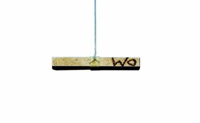 Set di campioni Ferro-Para-Diamagnetismo, Ni, W, Bi