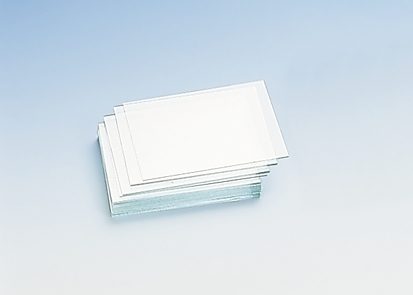 0820300-1689326073.jpg
