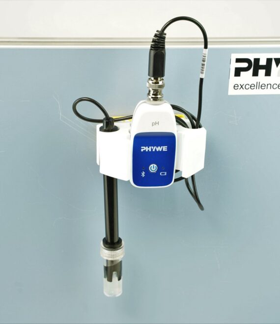 12960-10d.jpg